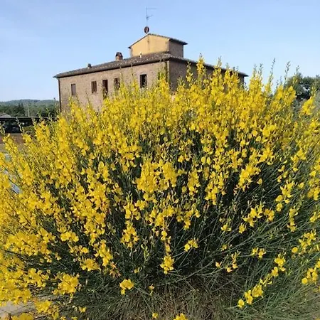 Il Casone - Con Piscina 펜션 Badia a Ruoti
